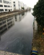 黑臭水体污染问题及治理技术-苏州BSport体育官网环保