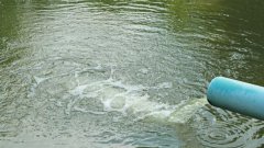 生物脱氮除磷的流程有哪些？效果如何？BSport体育官网环保小编告诉您
