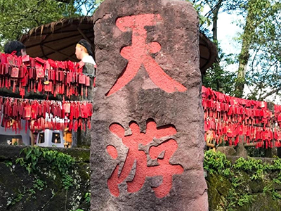 踏青山聚同心，BSport体育官网环保武夷山团建之旅圆满收官！